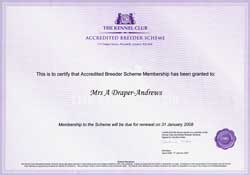 The Kennel Club Certify Mrs Angela Draper Andrews To The Accredited Breeder Scheme