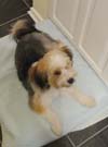BMISSY - AFTER HER VISIT TO THE "BEAUTY PARLOUR"..