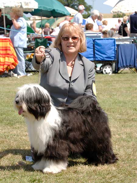 reg andrews tibetan terriers